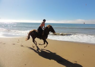 Cavalcata in Essaouira